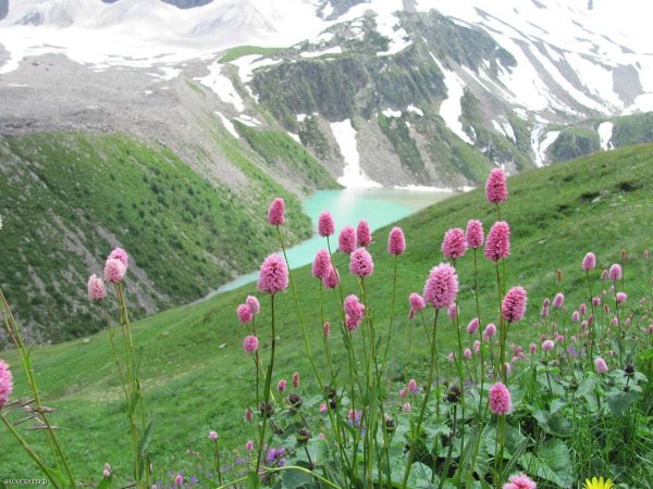 Национальный парк "Приэльбрусье" (Кабардино-Балкария)
