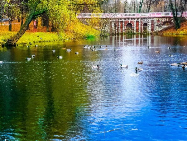 Лефортовский парк Москва