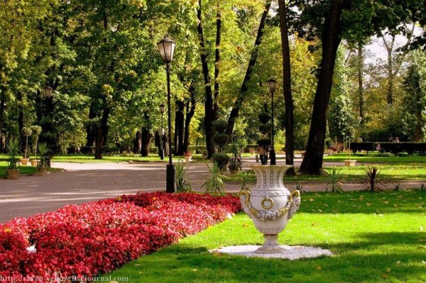 Лефортовский парк Липовая аллея