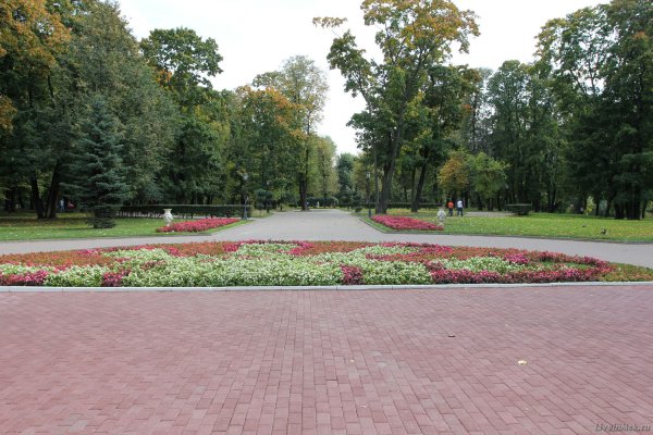 Лефортовский парк аллея