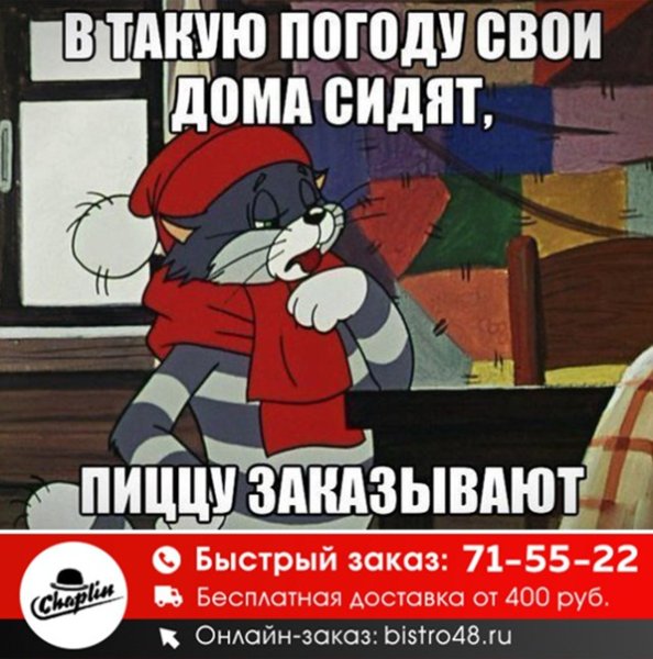 Кот Матроскин в такую погоду