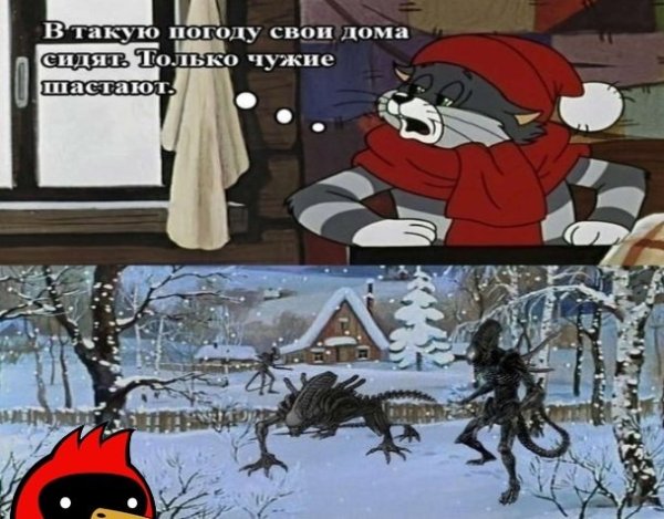 В такую погоду свои дома сидят только чужие шастают