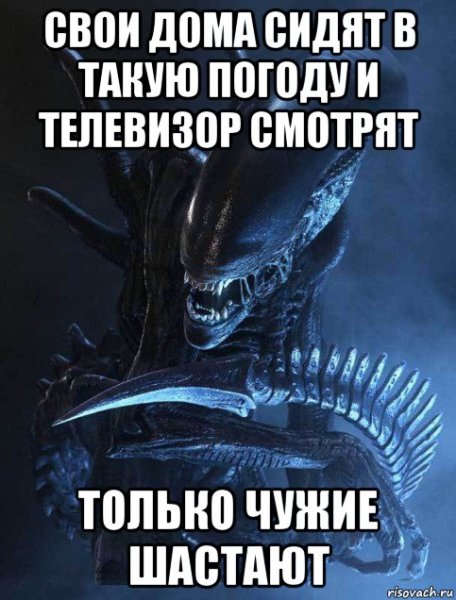 Мемы с чужими