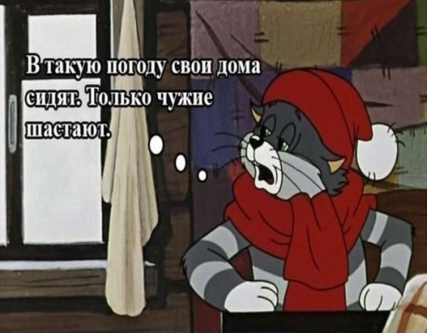 Высказывания Матроскина