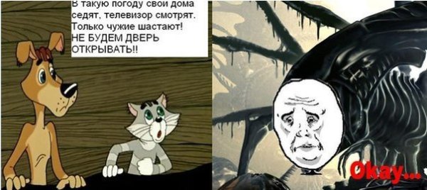 Простоквашино чужие шастают