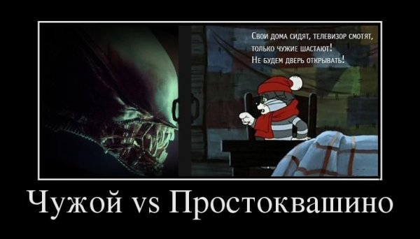 Свои дома сидят только чужие шастают