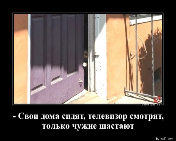Только чужие шастают
