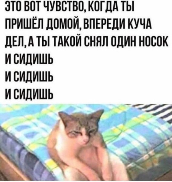 Когда пришла домой с работы