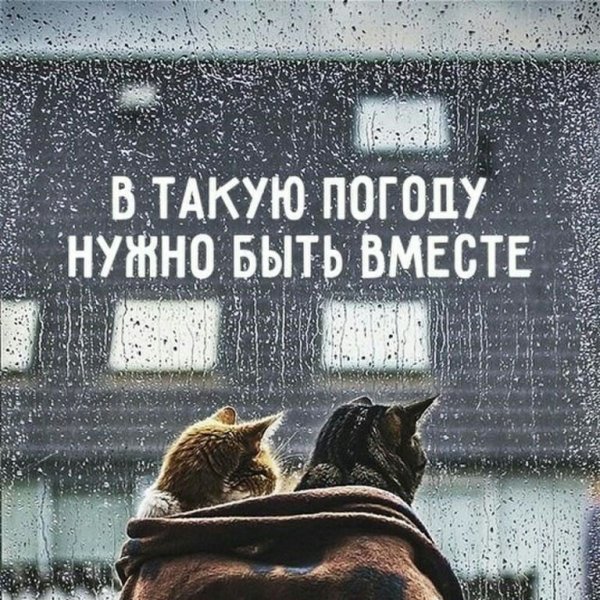 В такую погоду хочется