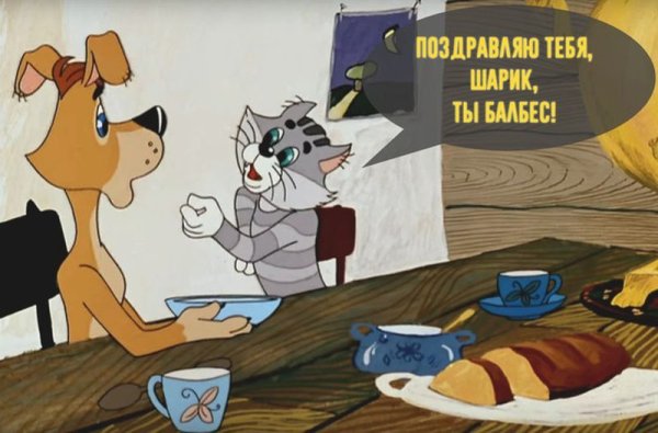 Шарик ты балбес