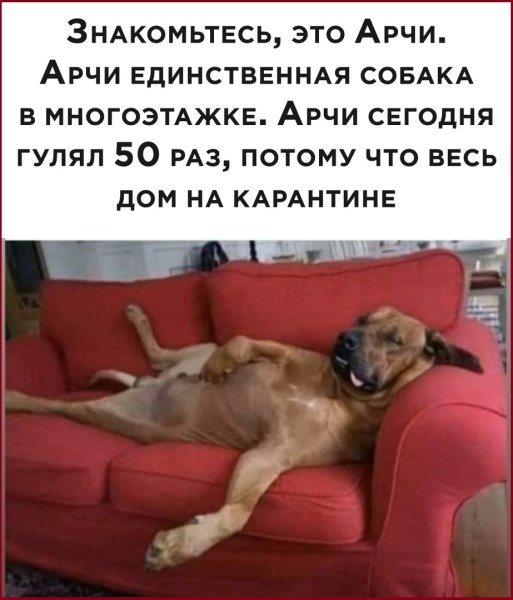 Прикол на тему жду