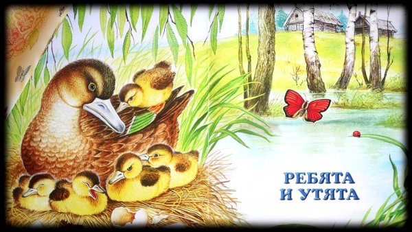 Пришвин ребята и утята книга