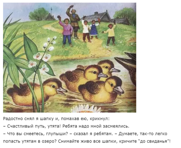 Рассказ Пришвина ребята и утята