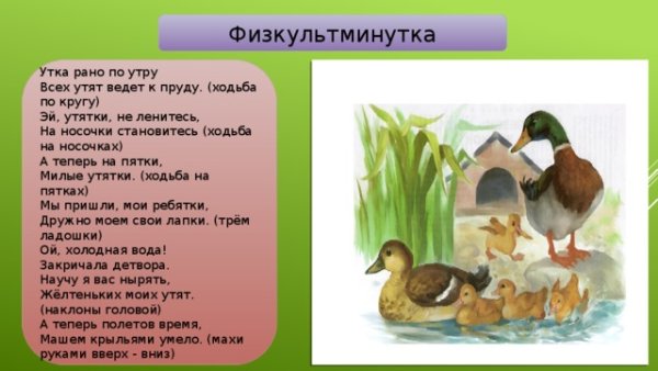 Физкультминутка утята