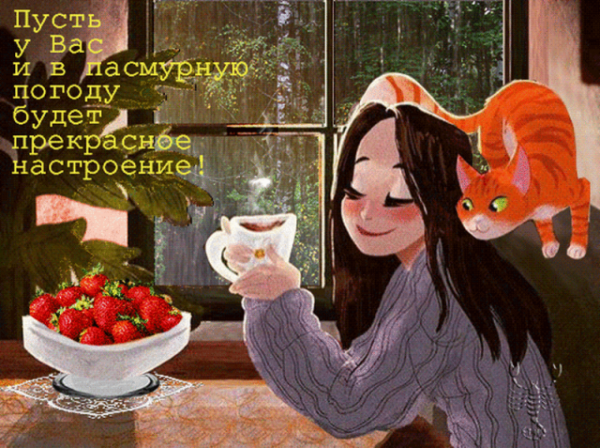 Доброе утро хоть и дождливое