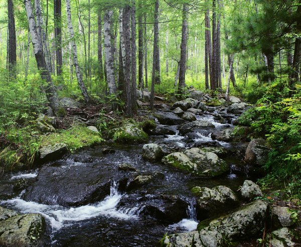 Алханай национальный парк