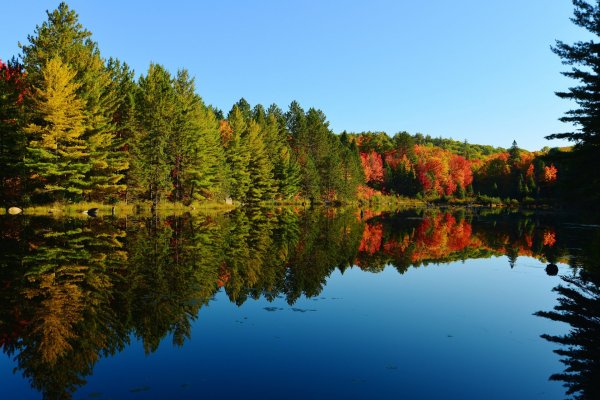 Осень природа река озеро лес