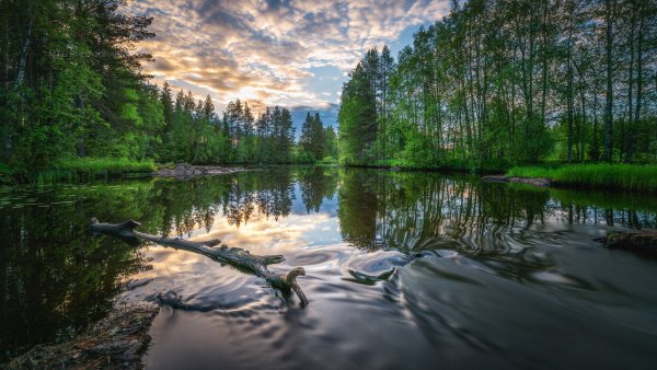 Река Озерная Ленинградская область