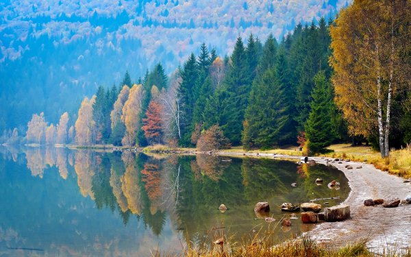 Пейзаж с отражением в воде