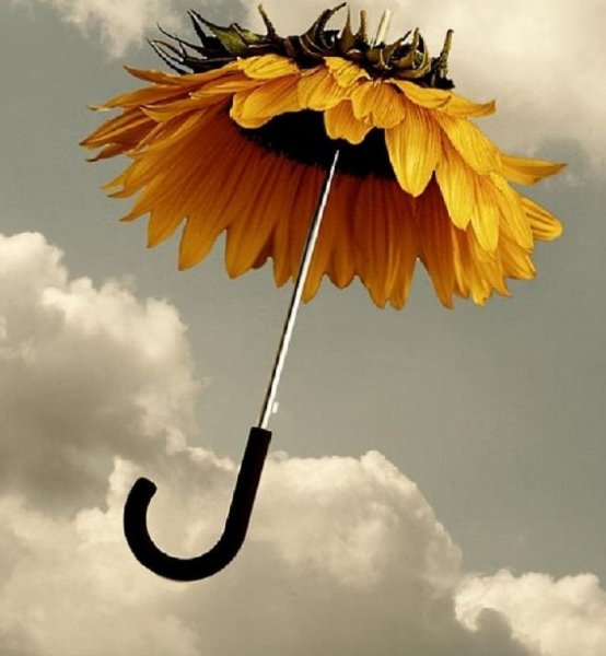 Который час скоро осень будем грустить нет