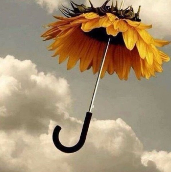 Зонт с подсолнухами