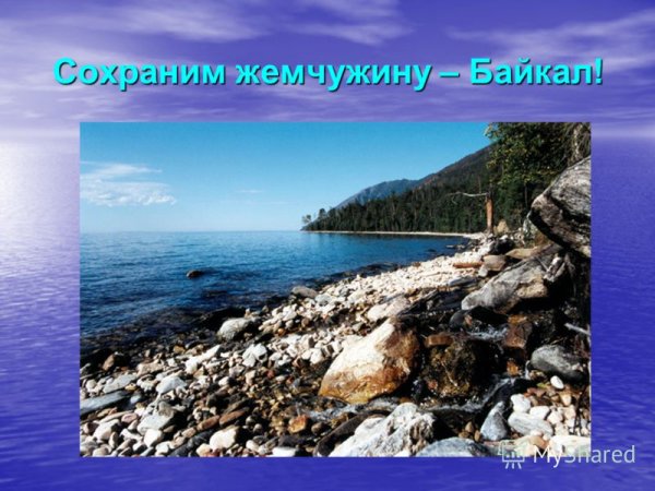 Сохраним озеро Байкал