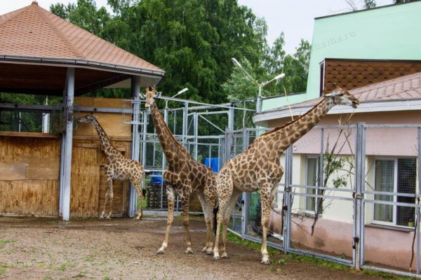 Парк роев ручей Красноярск