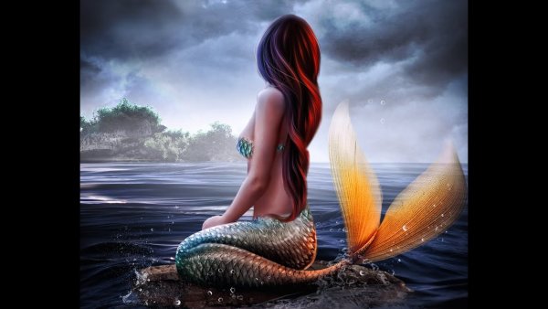 Русалка сидит