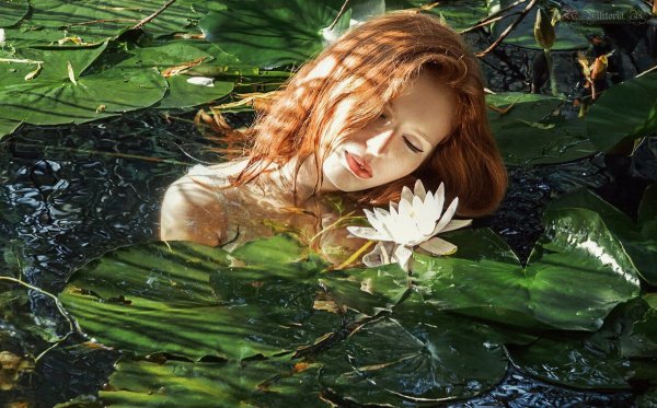 Девушка в кувшинках