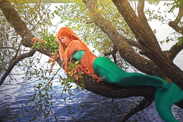 Русалка на дереве