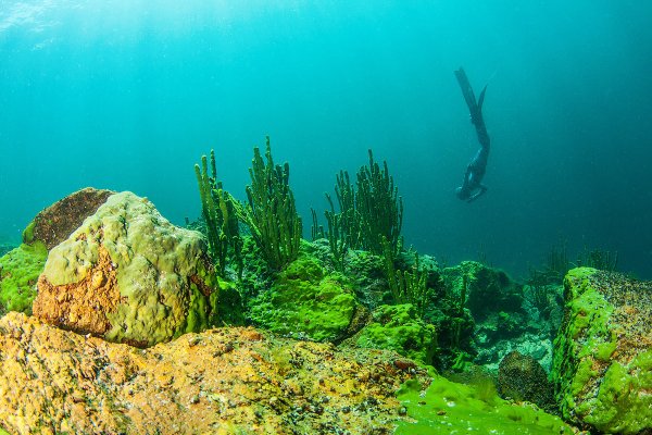 Дно озера Байкал