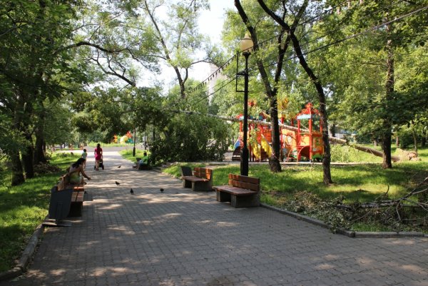Хабаровский парк Динамо