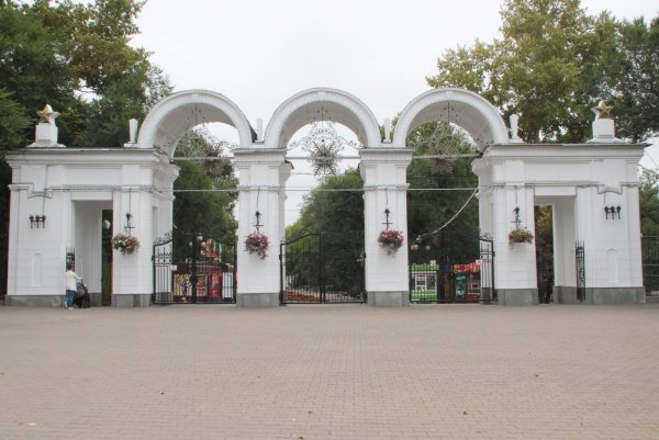 Парк Динамо Хабаровск