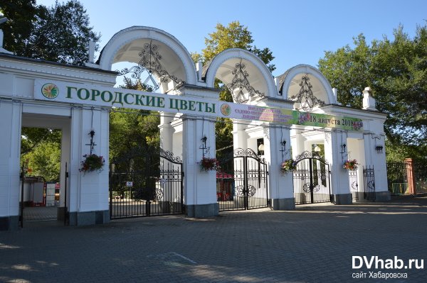 Городской парк Динамо Хабаровск