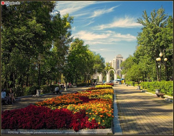 Городской парк культуры Хабаровск