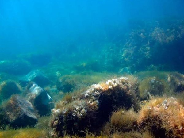Черное море под водой