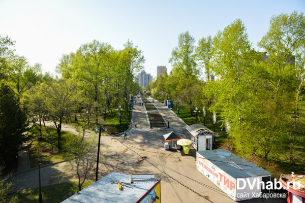 Парк Динамо Хабаровск