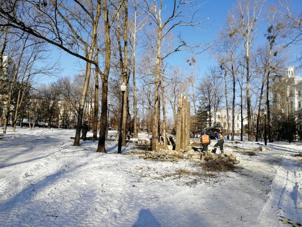 Парк Динамо Хабаровск рельеф