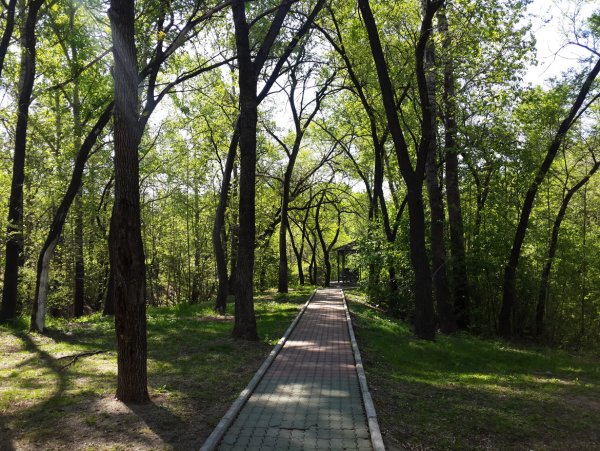 Красностуденческий парк Динамо