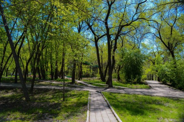 Парк Динамо Хабаровск