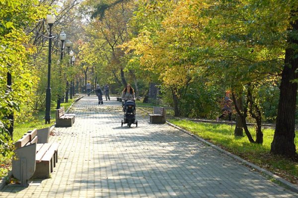 Парк Динамо Хабаровск осень