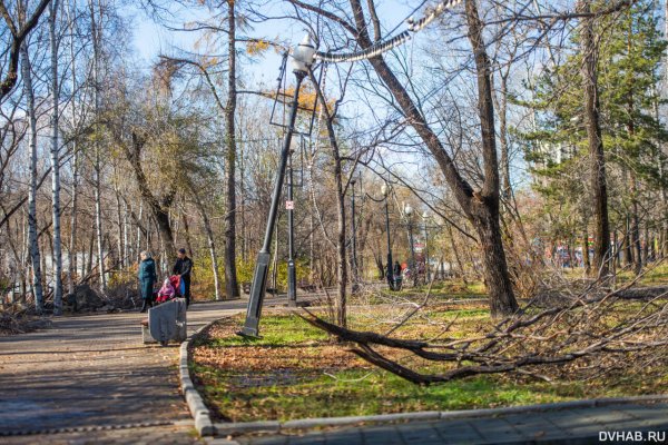 Парк Динамо Хабаровск