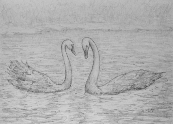 Лебедь рисунок легкий