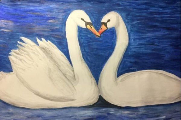 Лебедь рисунок