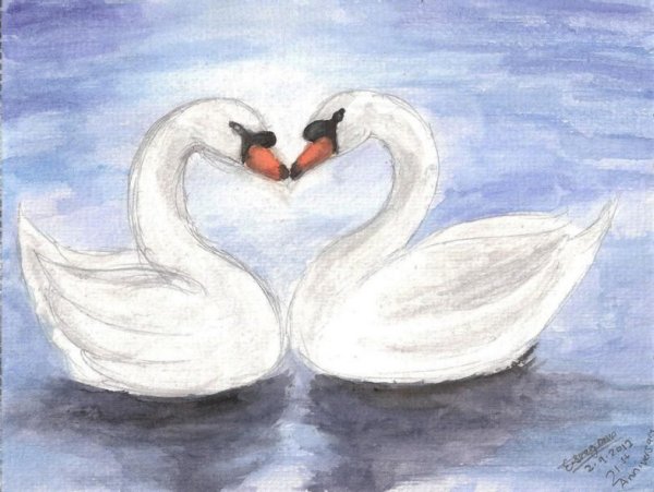 Лебедь для срисовки