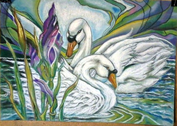 Лебедь цветными карандашами