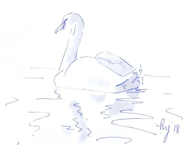 Лебедь рисунок красивый