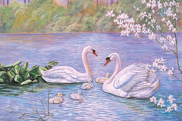 Картина семья лебедей