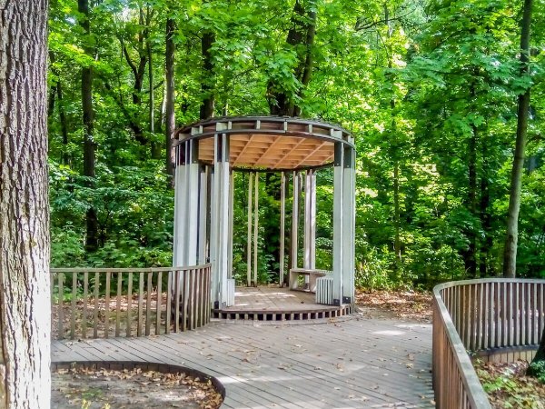 Лесопарк Воробьевы горы