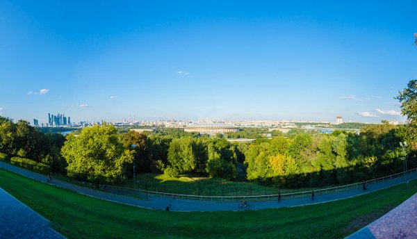 Воробьевы горы МСК парк